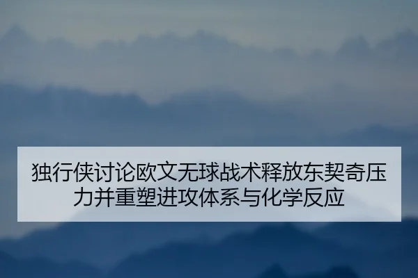 独行侠讨论欧文无球战术释放东契奇压力并重塑进攻体系与化学反应